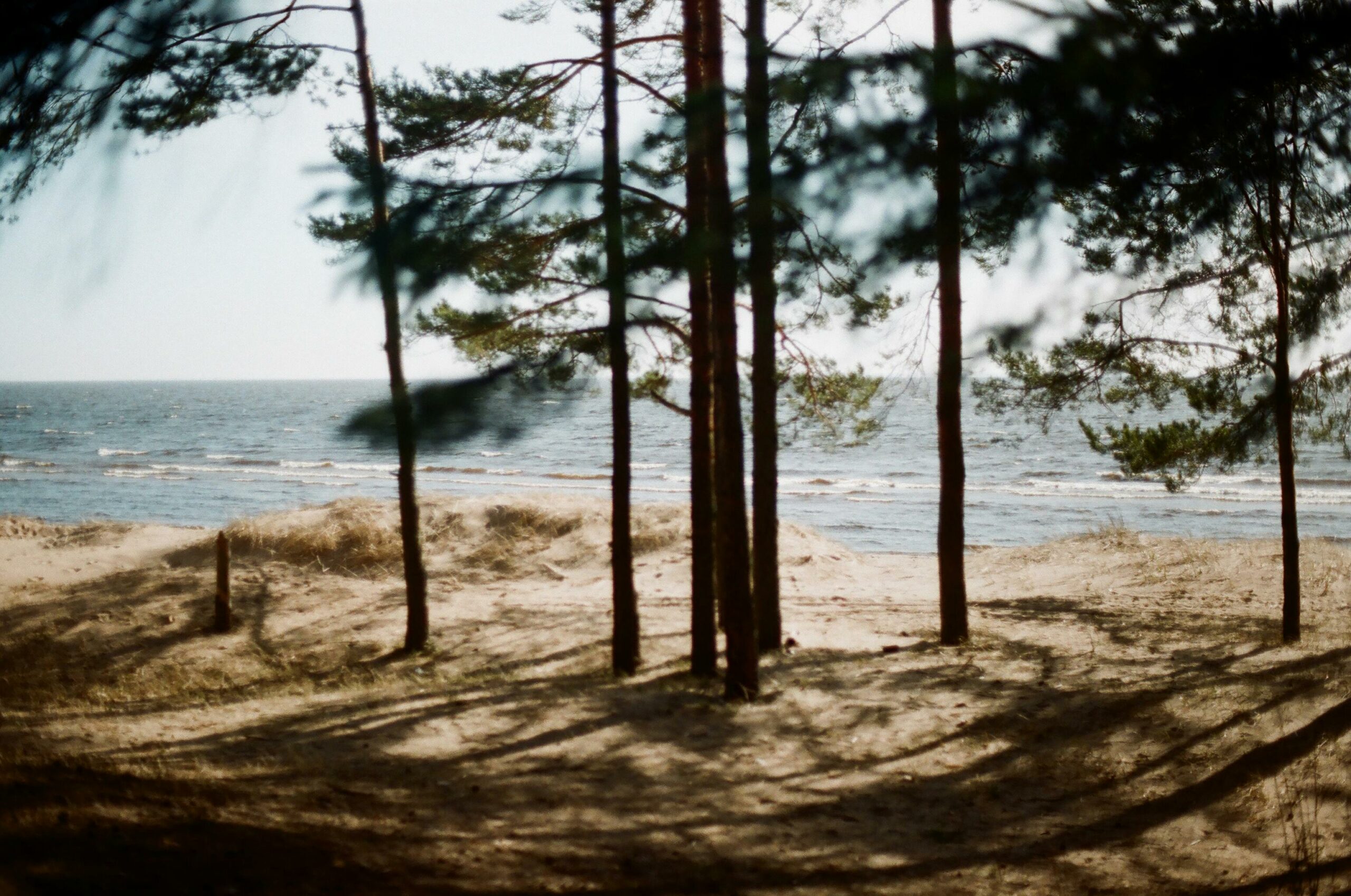 Le bord de mer comme une Invitation au bien-être, à  la sérénité, à l’épanouissement. 